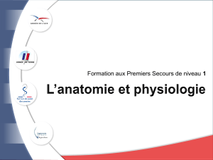 P5S1 Anatomie  physiologie