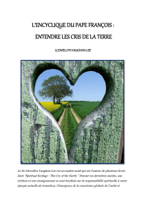 L'ENCYCLIQUE DU PAPE FRANCOIS : ENTENDRE LES CRIS DE LA TERRE - LLEWELLYN VAUGHAN-LEE