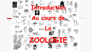 Zoologie 2023 1 ere partie