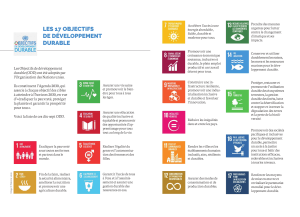 17 Objectifs de Développement Durable (ODD) - Agenda 2030