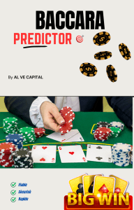 Guide-Baccara-Predictor