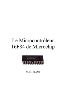 SMP6 ININD elalami-Cours microcontroleur