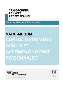 vade-mecum-consolidation-et-ap-1081320-pdf-1911