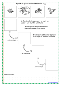 chaine-alimentaire01