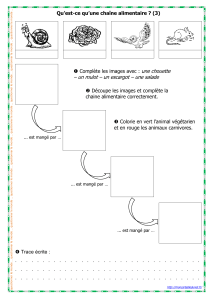 chaine-alimentaire 3