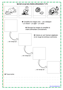 chaine-alimentaire07