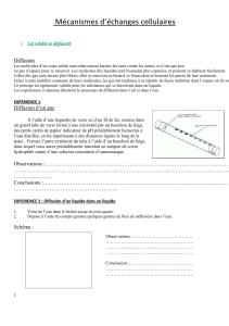 10 - Mécanismes diffusion osmose version finale