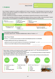 L'amphore fiche éléve CE1-CE2 