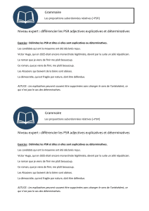 Propositions relatives explicatives et déterminatives