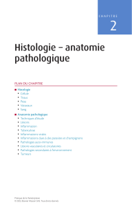 HISTOLOGIE