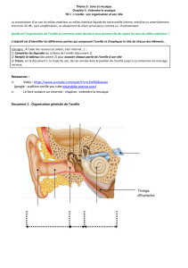 TD1 Organisation de l oreille et le rôle