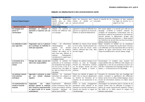 Situation emblématique va'a