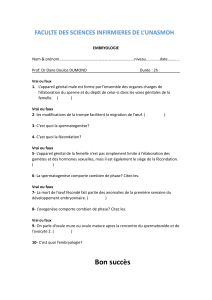 EMBRYOLOGIE (2)