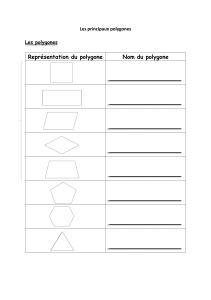 01 10COPA GM 5 Noms Polygones devoirs