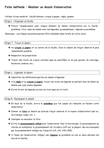 fiche methode - realiser un dessin d observation 2020