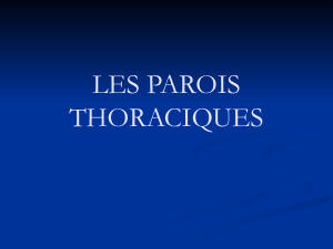 I-PAROIS THORACIQUES (PR.BJIJOU)