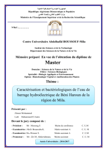 Mémoire de master sur l'antibiotique 