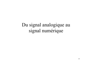 analogie numerique