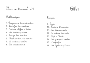 Plan de travail n°1 CM1