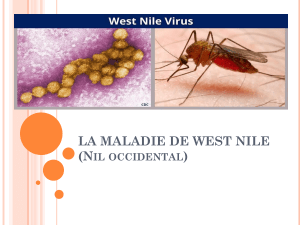 west Nile