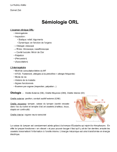 Sémiologie ORL