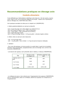 recommandation en Elevage ovin