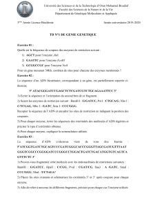 TD Génie Génétique : Exercices Licence Biochimie