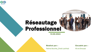 Réseautage Professionnel