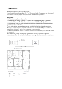 installation domestique (TD)