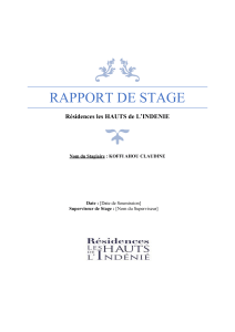 Rapport de Stage : Restauration aux R&eacute;sidences les HAUTS de L'INDENIE