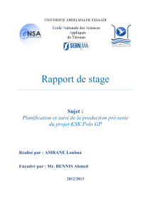 AMRANE Loubna- Rapport 2013- (1)