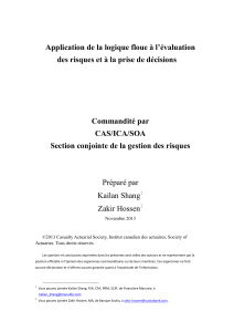 Application de la logique floue à l’évaluation des risques et à la prise de décisions