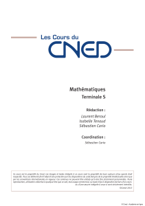 EBOOK Cours CNED Terminale S - Mathematiques