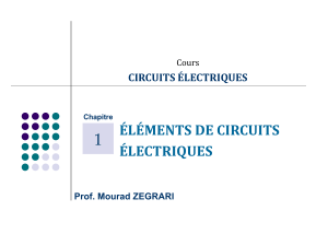 éléments de circuits électriques