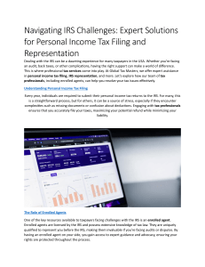 Individual Tax Filing