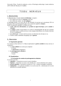 fichier produit 2646