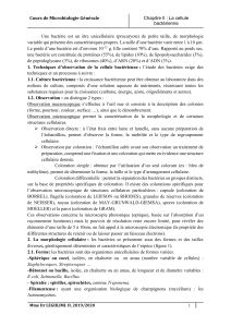 Microbiologie G&eacute;n&eacute;rale: La Cellule Bact&eacute;rienne