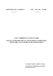 Cameroun Loi Fiscalité PPP 2008-009 16juillet 2008