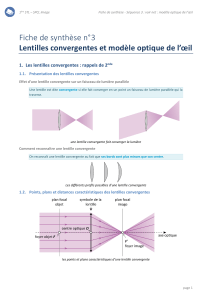 IMAGE FS03 Lentille oeil