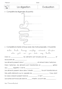 digestion5 EXERCICE