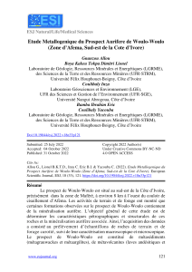 Etude Metallogenique du Prospect Aurifer de Woulo-Woulo