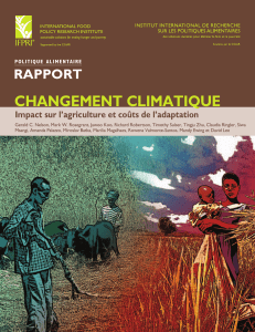 L'adaptation et la résilience des chaînes de valeur agricoles face aux impacts du changement climatique au Togo : Cas des producteurs au Togo