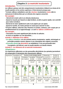 la-motricite-involontaire-cours-ma