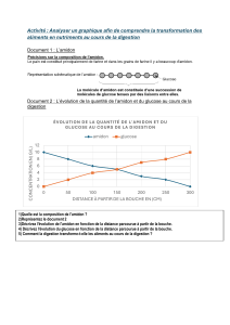 glucose et amidon