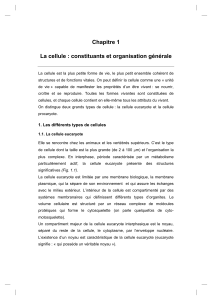 La cellule constituants et organisation