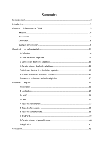 rapport de stage inera