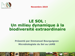 2-e.bourguignon-sol-biodiversite