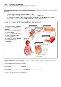 Activité 1 les besoins des organes