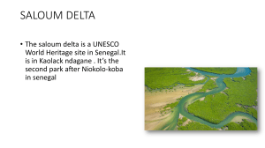 SALOUM DELTA