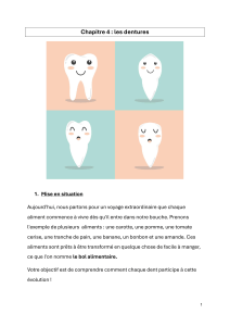 Chapitre 4 - les dentures